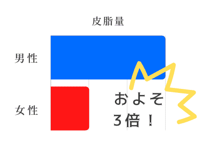 男性 女性 皮脂量 3倍